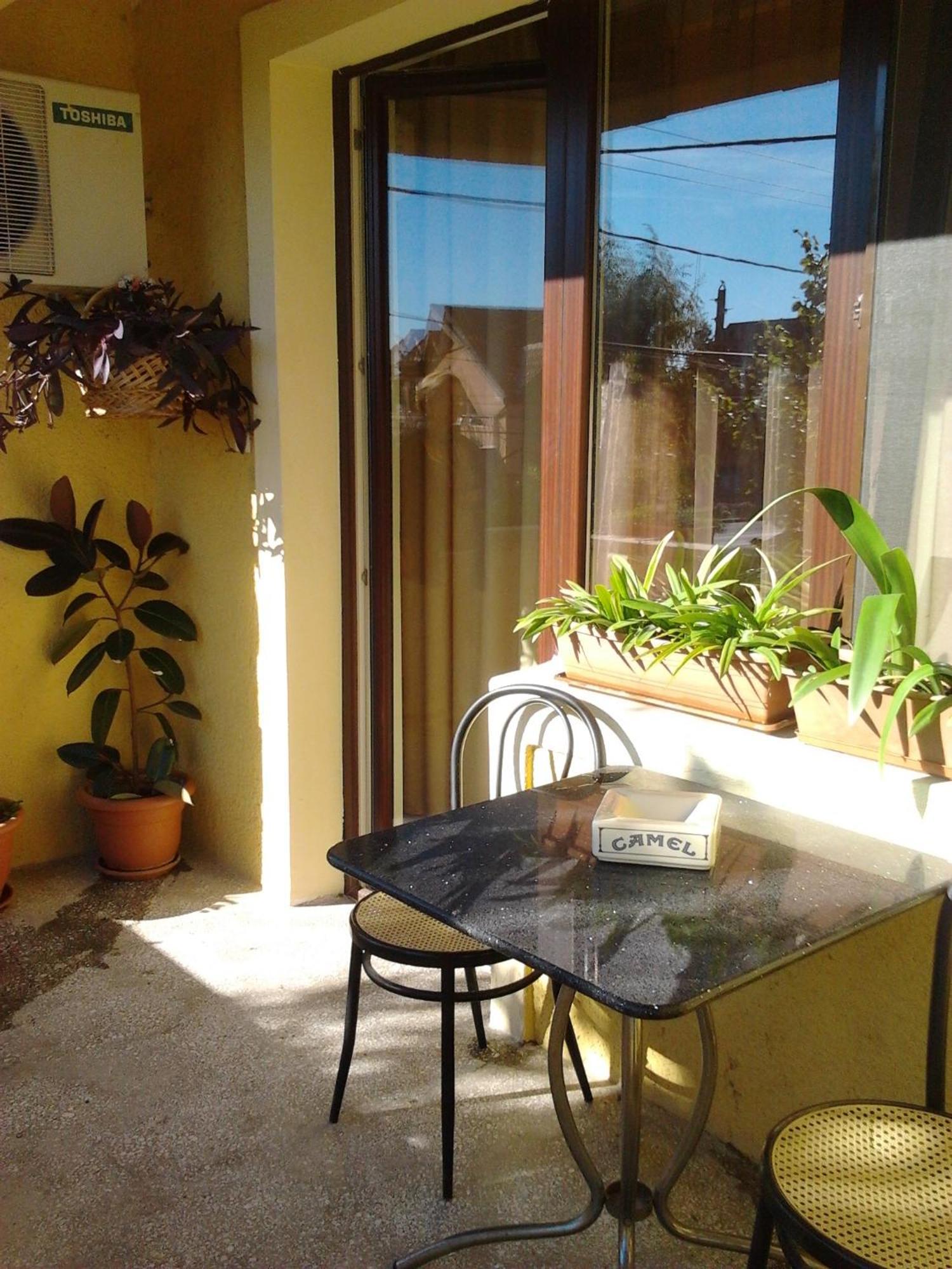 Pensiunea Sydney Timişoara Exterior foto